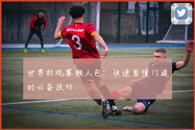 世界杯观赛懒人包：快速看懂门道的必备技巧