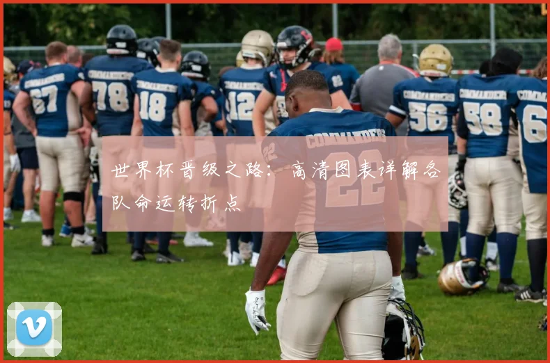 世界杯晋级之路：高清图表详解各队命运转折点