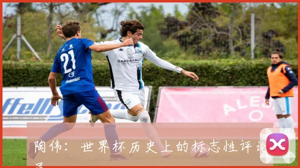 陶伟:世界杯历史上的标志性评论员