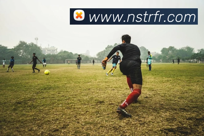 8868体育首页登录服务体系